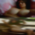 Pussy Shreveport