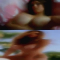 What women Orlando sex