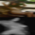 Naked woman bush