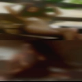 Nudist wife South Carolina